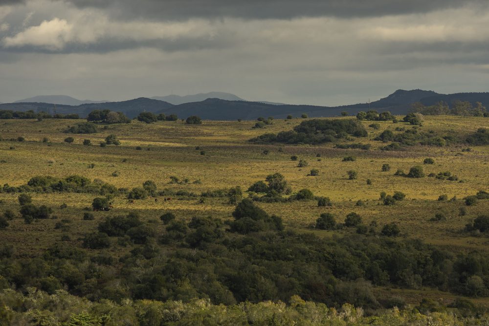 Fine Art Photography